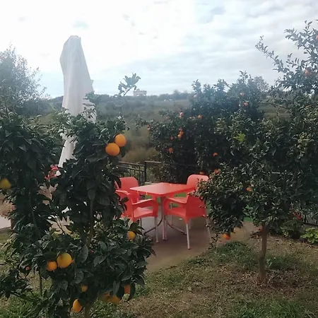 Mille Notte Ardenice 3* Lushnjë